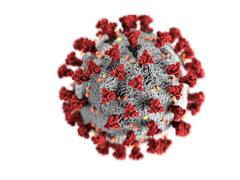 
      
      Research finds that viruses may have 'eyes and ears' on us
      
      