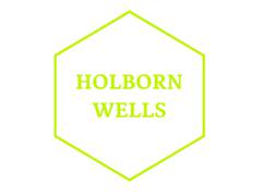 
      
      Holborn Wells India sets up Pharma and Medical Devices 
      
      