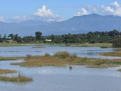 
      
      25 years into conservation Wetlands International South Asia 
      
      