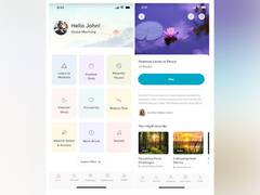 
      
      Idanim - A Mental Wellness and meditation App 
      
      