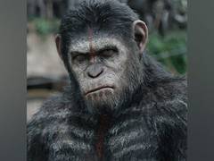 
      
      'Planet of the Apes' new film first look, title unveiled
      
      