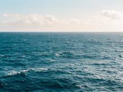
      
      Link found among ocean acidification and fast-melting Arctic ice
      
      