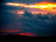 
      
      Survey finds hot summer nights have bad impact on health
      
      