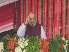 
      
      J-K: Cheers and slogans echo at Amit Shah's rally in Rajouri
      
      