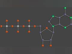 
      
      Ancient chemistry explains why ATP is universally used by all
      
      