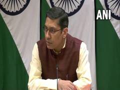 
      
      India, UK keen to conclude FTA negotiations: MEA
      
      