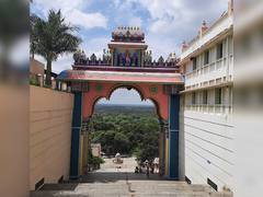
      
      Rahul Gandhi to stay at Adichunchanagiri Mutt stadium in Mandya
      
      
