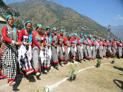 
      
      8,000 women perform folk dance in Int Kullu Dussehra Festival
      
      