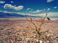 
      
      2022 summer droughts became extremely likely due to climate chang
      
      