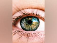 
      
      Adult brain has the capacity to partially recover from blindness
      
      