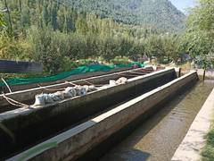 
      
      Sunshines on Fish Farming in Bandipora
      
      