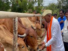 
      
      Prabhu B Chavan urges people to have Goshala
      
      