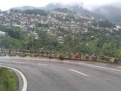 
      
      Cabinet okays a new development scheme for the Northeast
      
      