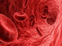 
      
      For peripheral artery disease treatment, quality of life crucial
      
      