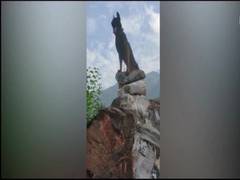 
      
      Dog 'Zoom' was part of multiple Counter Terrorism operations
      
      