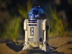 
      
      Robots keep track of impact of gas leak on environment
      
      