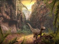 
      
      Dinosaur 'mummies' might not be as unusual as we think
      
      