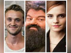
      
      'Harry Potter' cast pays tribute to 'Hagrid' Robbie
      
      