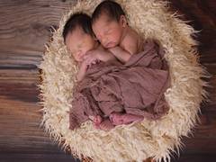 
      
      Researchers identify new mitochondrial disease in identical twins
      
      