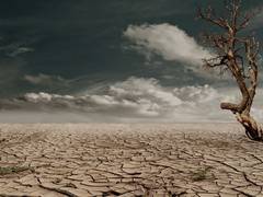 
      
      Droughts in 2022 have become extremely likely due to climate 
      
      