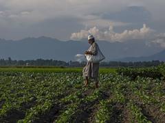 
      
      Global fertiliser exports could fall 16 pc annually: Report
      
      