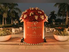 
      
      Introducing Season's Special @dlfpromenade
      
      