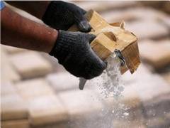
      
      NCB seizes various drugs and arrests traffickers
      
      