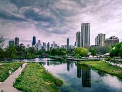
      
      Increased green space could narrow gap between rich and poor
      
      