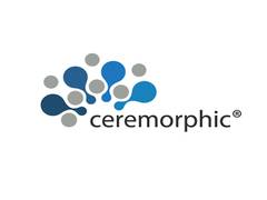 
      
      Ceremorphic tapes out AI supercomputing chip on TSMC 5nm node
      
      