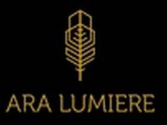 
      
      Ara Lumiere wins the Social Impact Award 
      
      