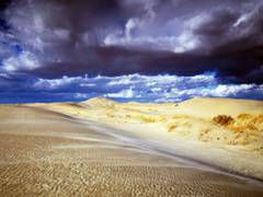 
      
      Weather events have a significant negative impact on skins: Study
      
      
