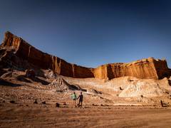 
      
      Secret of world's driest desert's spectacular blooms
      
      