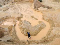 
      
      China harvesting renewable resources abroad
      
      