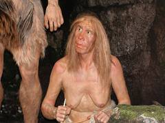 
    Central Asia identified as significant region for human ancestors
    