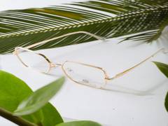 
      
      Green eyeglasses helps to reduce pain-related anxiety 
      
      