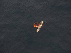 
      
      Cyclone Sitrang: Indian Coast Guard rescues 20 B'deshi fishermen
      
      