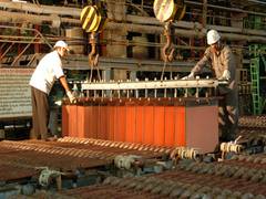 
      
      Hindustan Copper pays Rs 74.20 crore as dividend to govt
      
      
