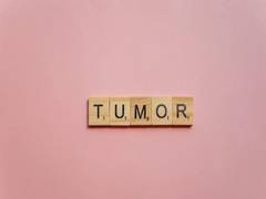 
      
      Researchers using magnetic bacteria to fight tumors
      
      