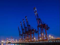 
      
      Germany approves reduced investment of China in Hamburg port
      
      