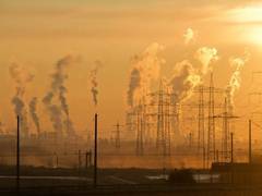 
      
      Over one million deaths in Africa linked to air pollution: Report
      
      