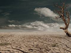 
      
      Plant processes important in predicting drought development
      
      