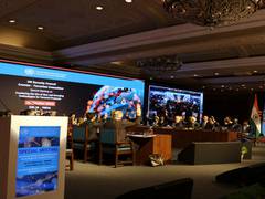 
      
      UN counterterrorism committee adopts Delhi Declaration
      
      