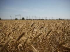 
      
      Russia suspends UN-backed grain deal with Ukraine
      
      