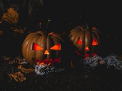 
      
      Make your Halloween bash talk of town with these party tips
      
      