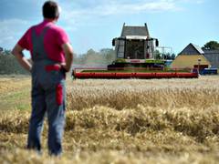 
      
      Grain export 'impossible' after Russia suspends deal: Ukraine
      
      