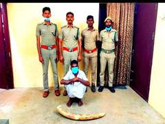 
      
      Rape accused arrested within hours
      
      