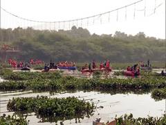 
      
      Morbi bridge collapse: About 300 Army personnel deployed
      
      