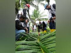
      
      Golden Agri-Resources introduces Sawit Terampil 
      
      