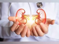
      
      New scanning methods to reduce evaluation time of donor kidneys
      
      