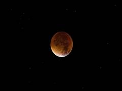 
      
      Everything you need to know about last 'Blood Moon' of this year
      
      